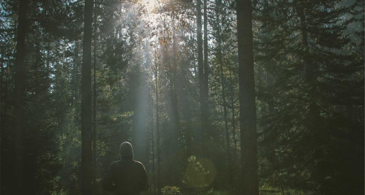 Second demo image suggesting charts or dashboards